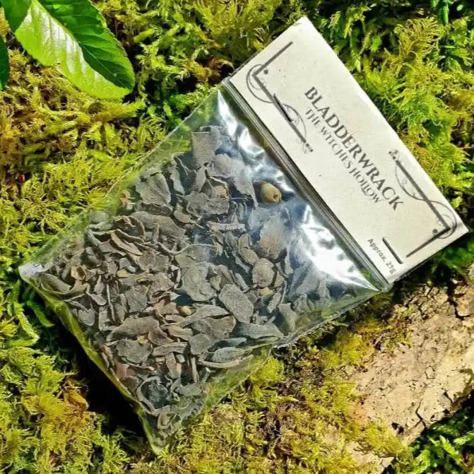 Bladderwrack dried herbs with sea herb for water magic and psychic abilities from The Witches Hollow UK