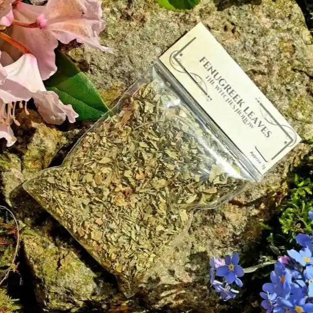 Fenugreek leaves dried herbs with healing leaves for prosperity and abundance magic from The Witches Hollow UK