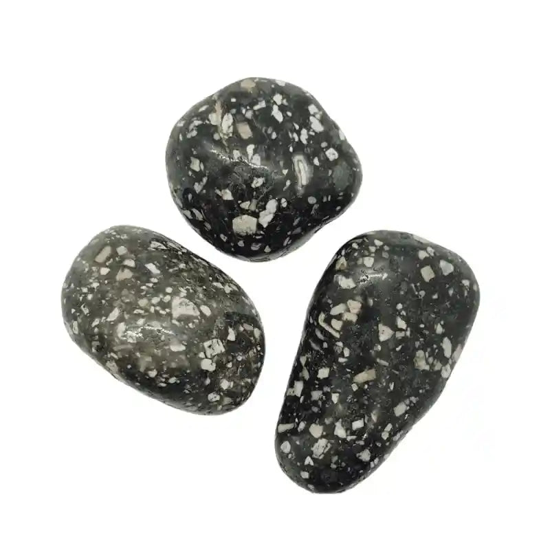 Guinea fowl jasper tumble stone with spotted crystal for protection and grounding energy from The Witches Hollow UK