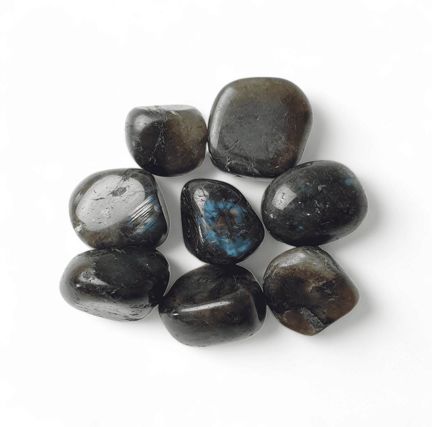 Labradorite - The Witches Hollow