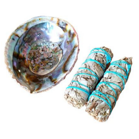 Large Abalone Shell & White Sage Smudging Kit (Save 10%) - The Witches Hollow