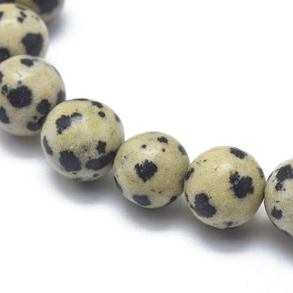 Dalmatian Jasper ~ Crystal Round Beaded Healing Bracelet - The Witches Hollow