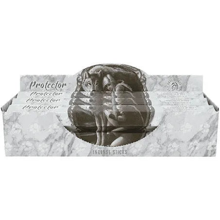 Anne Stokes protector incense with guardian art design for spiritual protection and safety from The Witches Hollow UK