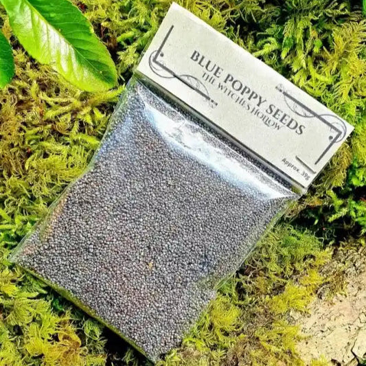Blue poppy seed dried herbs with magical seeds for sleep and dream enhancement from The Witches Hollow UK