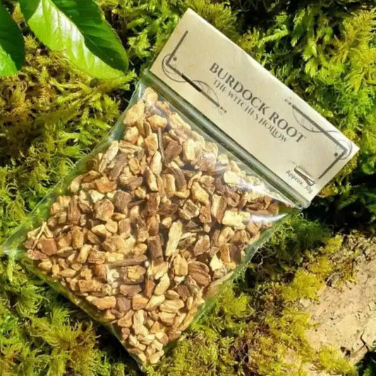 Burdock root dried herbs with cleansing root for purification and protection magic from The Witches Hollow UK