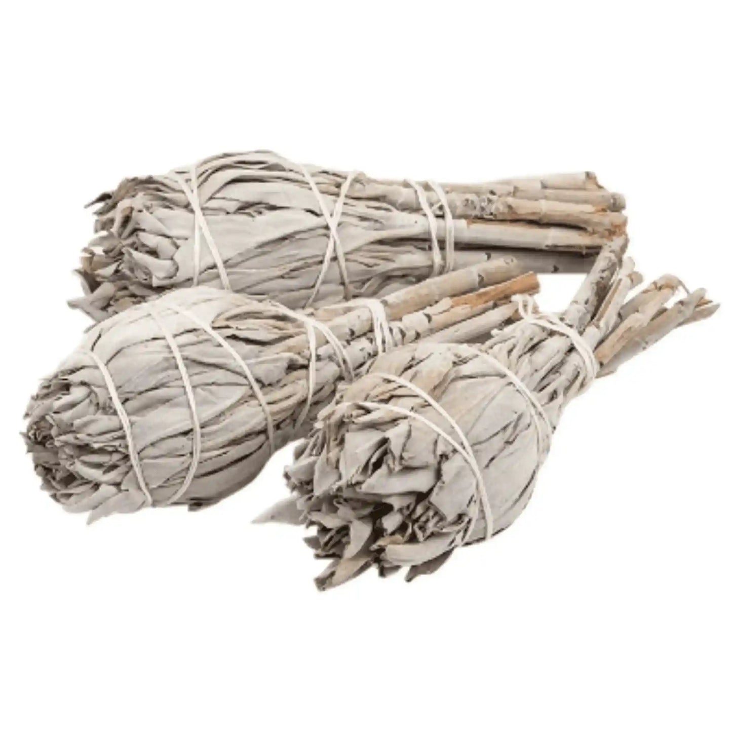 Californian white sage torch with large sage bundle for powerful spiritual cleansing from The Witches Hollow UK