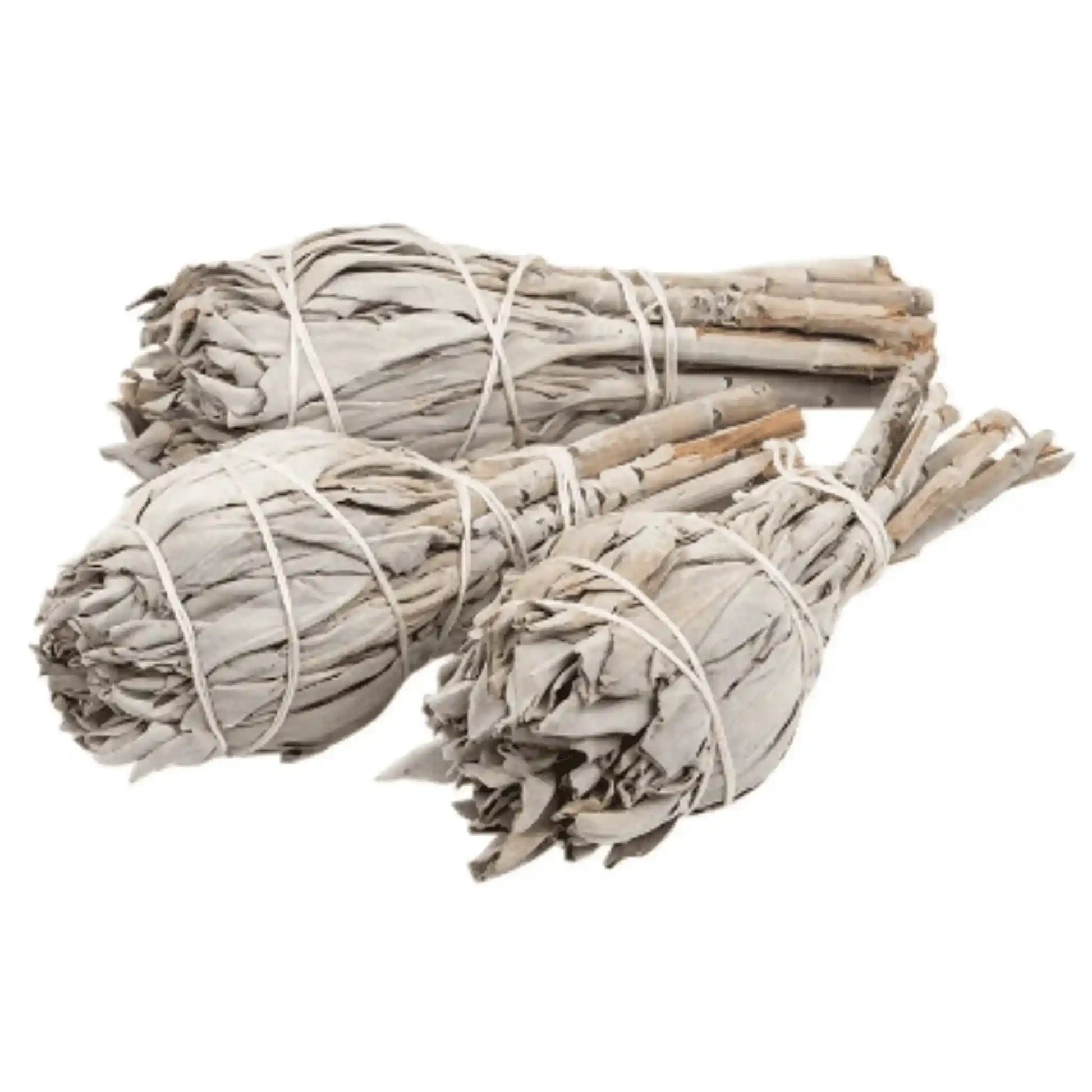 Californian white sage torch with large sage bundle for powerful spiritual cleansing from The Witches Hollow UK