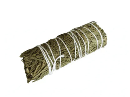 Cedar tree medium protection with cedar wood for grounding and protective energy from The Witches Hollow UK