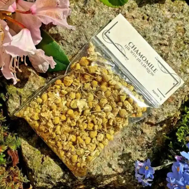 Chamomile dried herbs with gentle herb for peace and sleep magic from The Witches Hollow UK