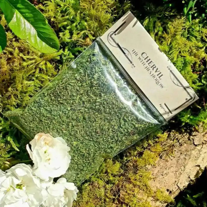 Chervil dried herbs with delicate herb for new beginnings and fresh starts from The Witches Hollow UK