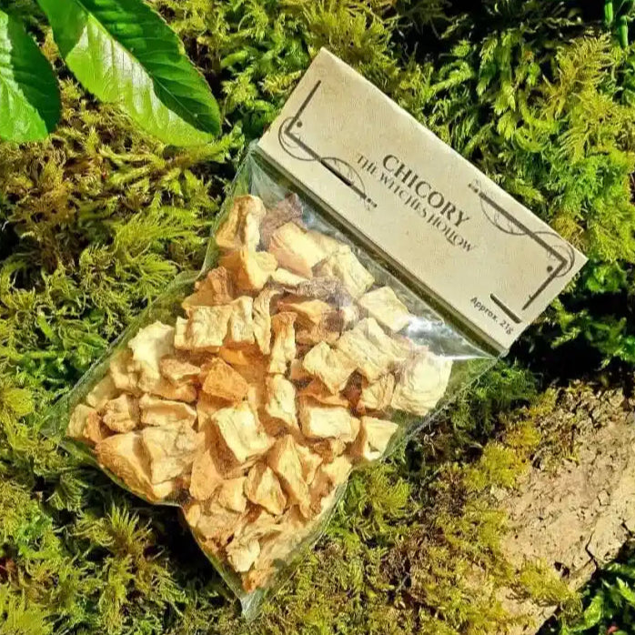 Chicory dried herbs with blue flower herb for removing obstacles and opening paths from The Witches Hollow UK
