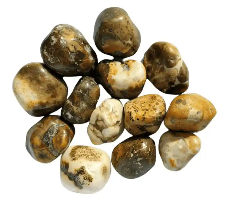 Conglomerate jasper tumble stone with mixed mineral crystal for stability and grounding energy from The Witches Hollow UK