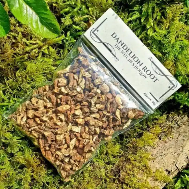Dandelion root dried herbs with healing root for wishes and divination magic from The Witches Hollow UK