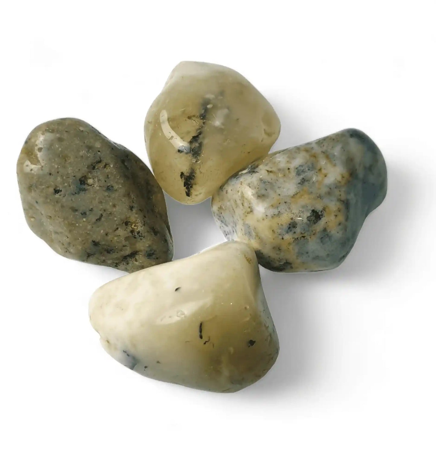 Dendrite light tumble stone with white tree patterns for spiritual growth and connection from The Witches Hollow UK