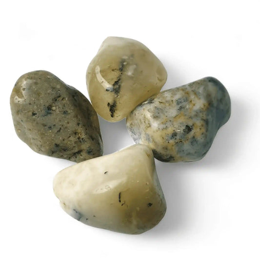 Dendrite light tumble stone with white tree patterns for spiritual growth and connection from The Witches Hollow UK