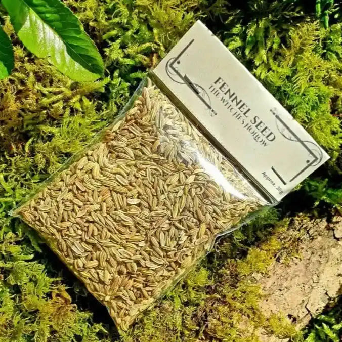 Fennel seed dried herbs with aromatic seeds for protection and purification magic from The Witches Hollow UK