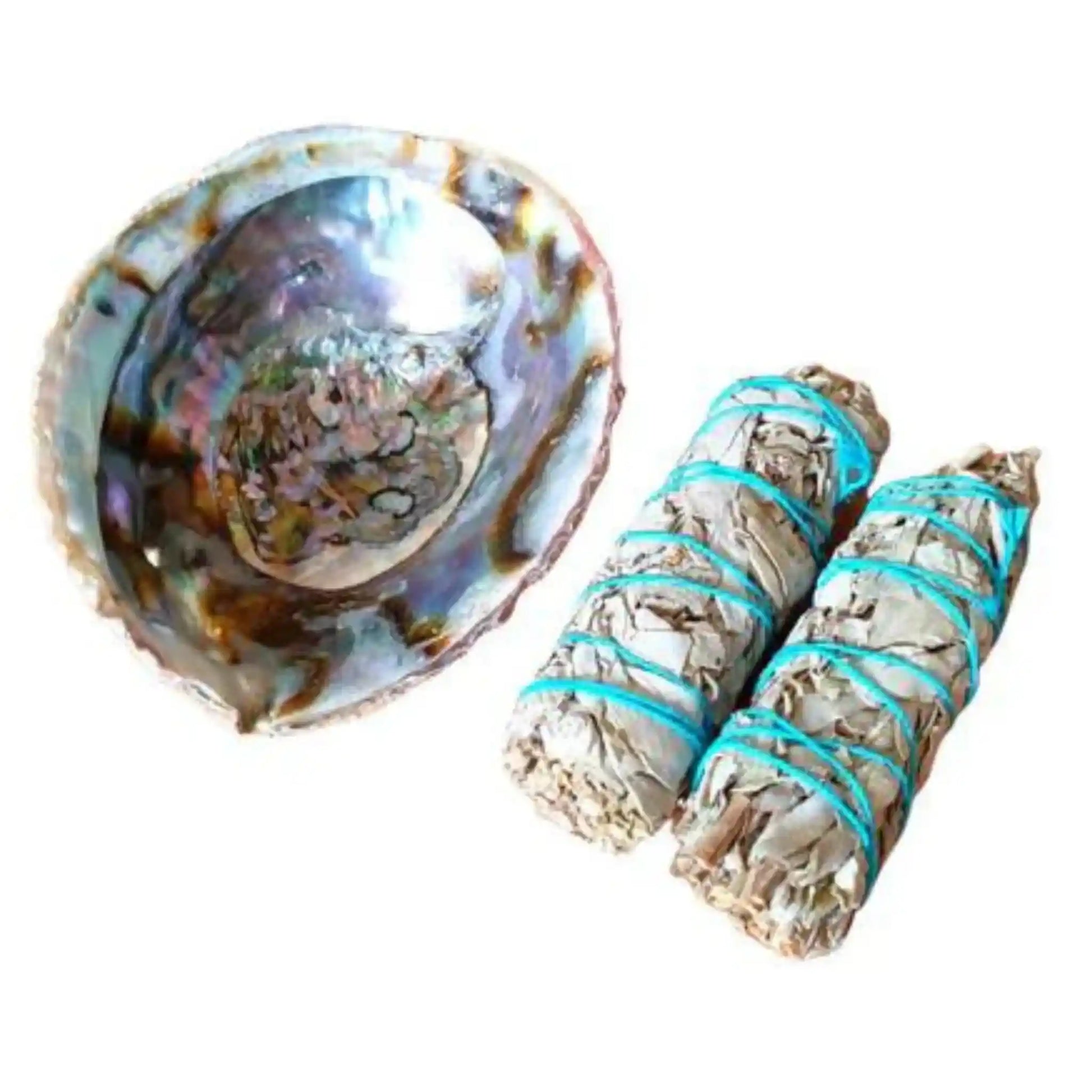 Large abalone California sage kit with shell and sage bundle for ritual cleansing from The Witches Hollow UK