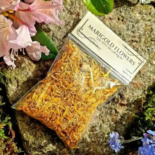 Marigold flowers dried herbs with golden flowers for prosperity and solar magic from The Witches Hollow UK