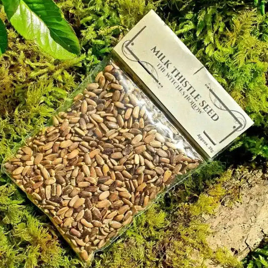 Milk thistle seed dried herbs with healing seeds for liver support and protection magic from The Witches Hollow UK