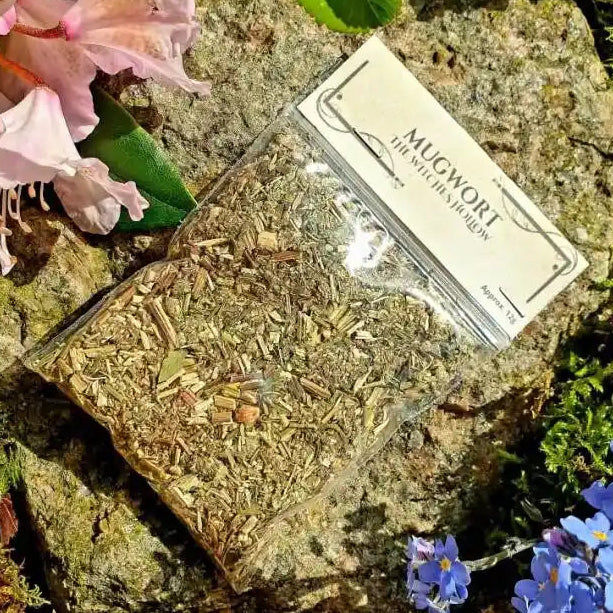 Mugwort dried herbs with sacred herb for prophetic dreams and psychic enhancement from The Witches Hollow UK