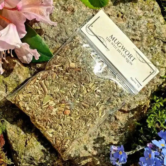 Mugwort dried herbs with sacred herb for prophetic dreams and psychic enhancement from The Witches Hollow UK