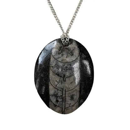 Orthoceras fossil pendant with ancient marine fossil for grounding and ancestral wisdom from The Witches Hollow UK