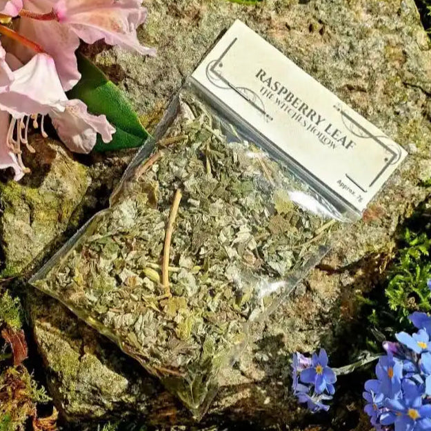 Raspberry leaf dried herbs with feminine herb for women's health and fertility magic from The Witches Hollow UK