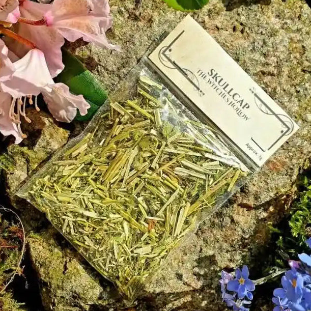 Skullcap dried herbs with calming herb for peace and anxiety relief from The Witches Hollow UK