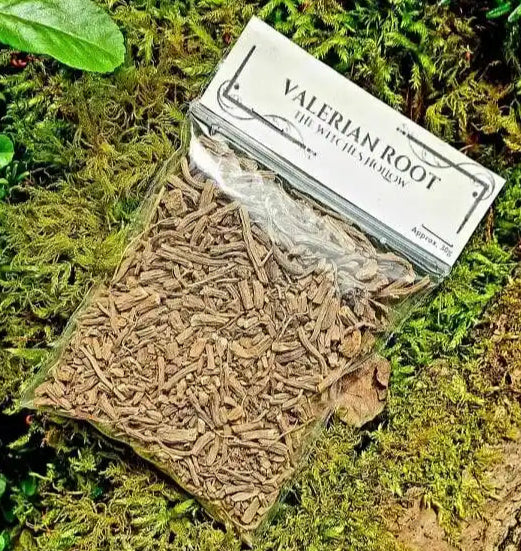 Valerian root dried herbs with calming root for sleep magic and anxiety relief from The Witches Hollow UK