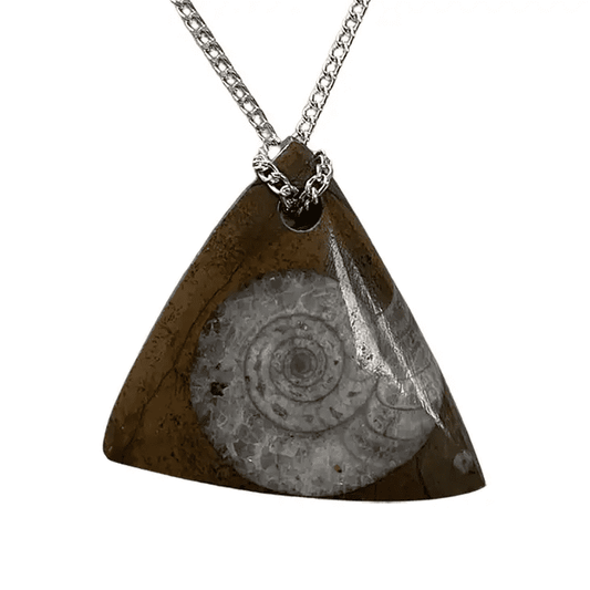 Natural Goniatite Ammonite Fossil Pendant Triangle - The Witches Hollow