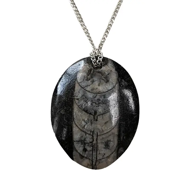 Natural Orthoceras Fossil Pendant Teardrop - The Witches Hollow