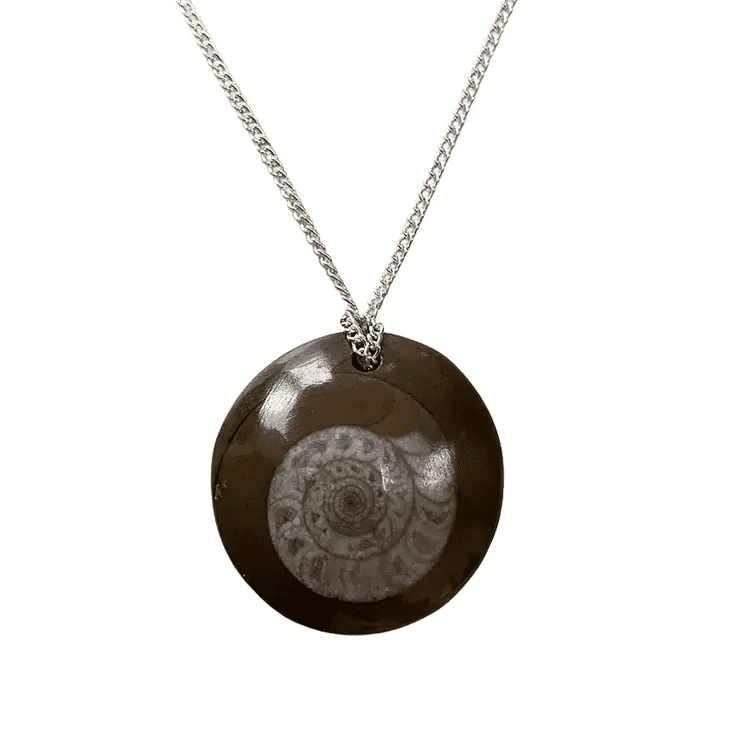 Natural Goniatite Ammonite Fossil Pendant Round - The Witches Hollow