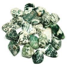 Tree Agate - The Witches Hollow